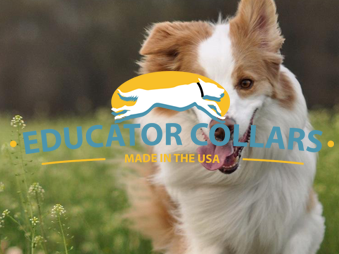 Educator Collars